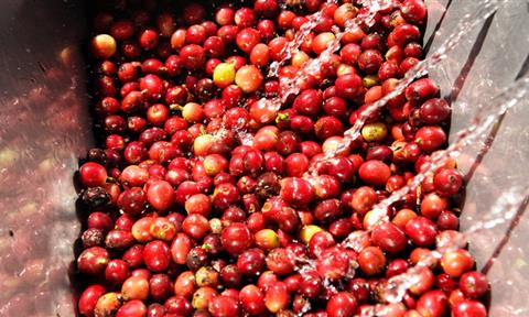 食品饮料加工废水