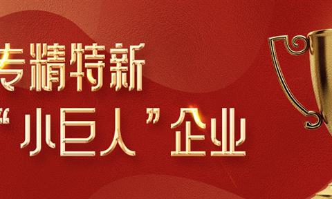 喜报！苏州立升荣获2021年度江苏省专精特新小巨人企业认证